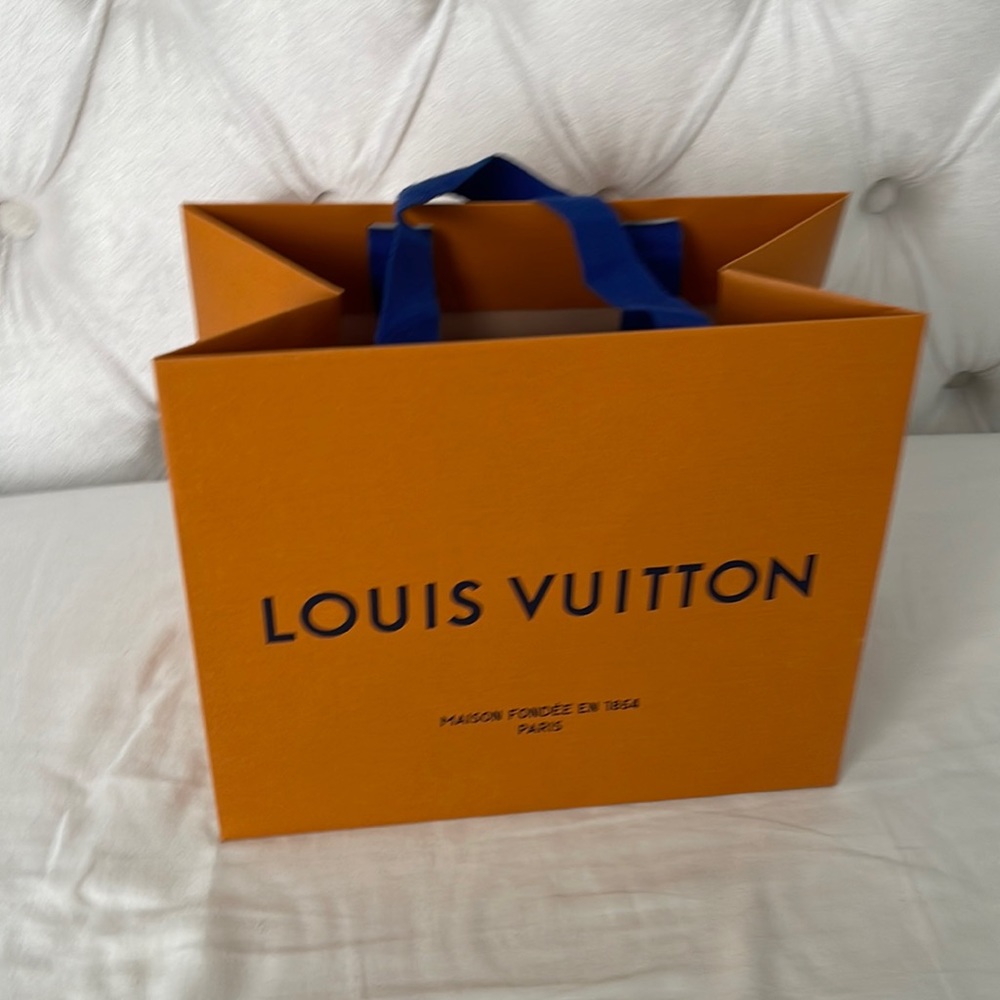 Louis Vuitton shopping bag